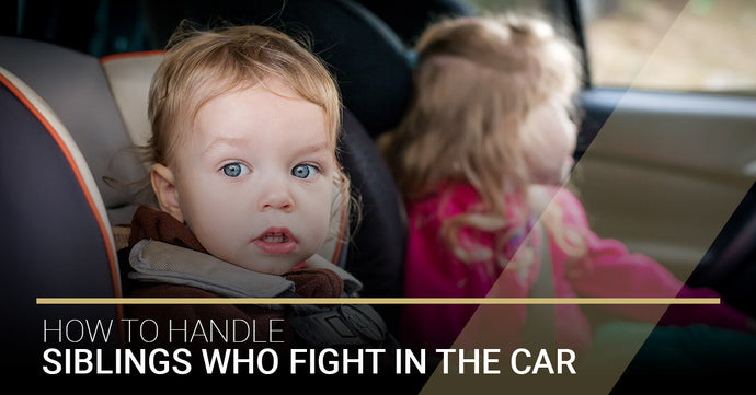 How To Handle Siblings Who Fight In The Car